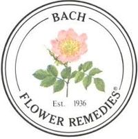 bachbloesems 3